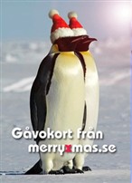 gåvokort,merry,xmas