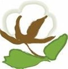 organic cotton