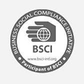 bsci,social,standard