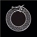 brodyr_orm_77.png
