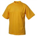 clique_12_solgul_classic-t_680666.jpg
