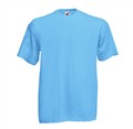 fruit_61036_valueweight_T_skyblue2_680666.jpg