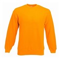 fruit_sweatshirt_62202_sunflower_680666.jpg