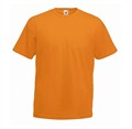 fruit_valueweight_t_apricot_680666.jpg