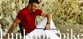 harvest_birksdale_funktionspike_324153.jpg