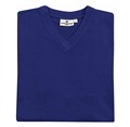 jingham,t-shirt,neo,royal3_680666.jpg