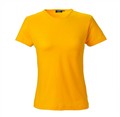 south_venice_damtopp_yellow2_680666.jpg