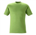 southwest_t-shirt_kings_lightgreen_680666.jpg
